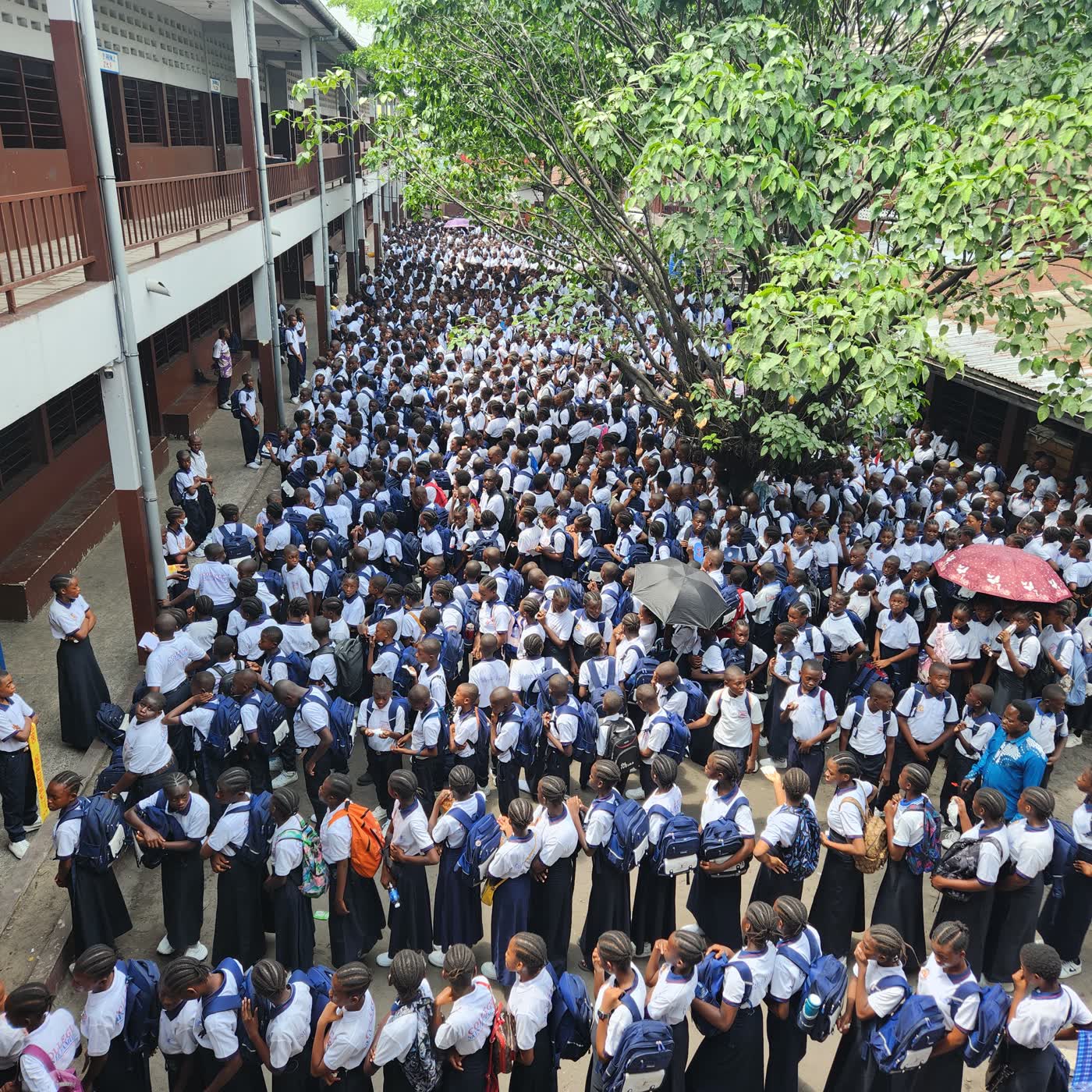 Campus du Collège Sainte Famille
