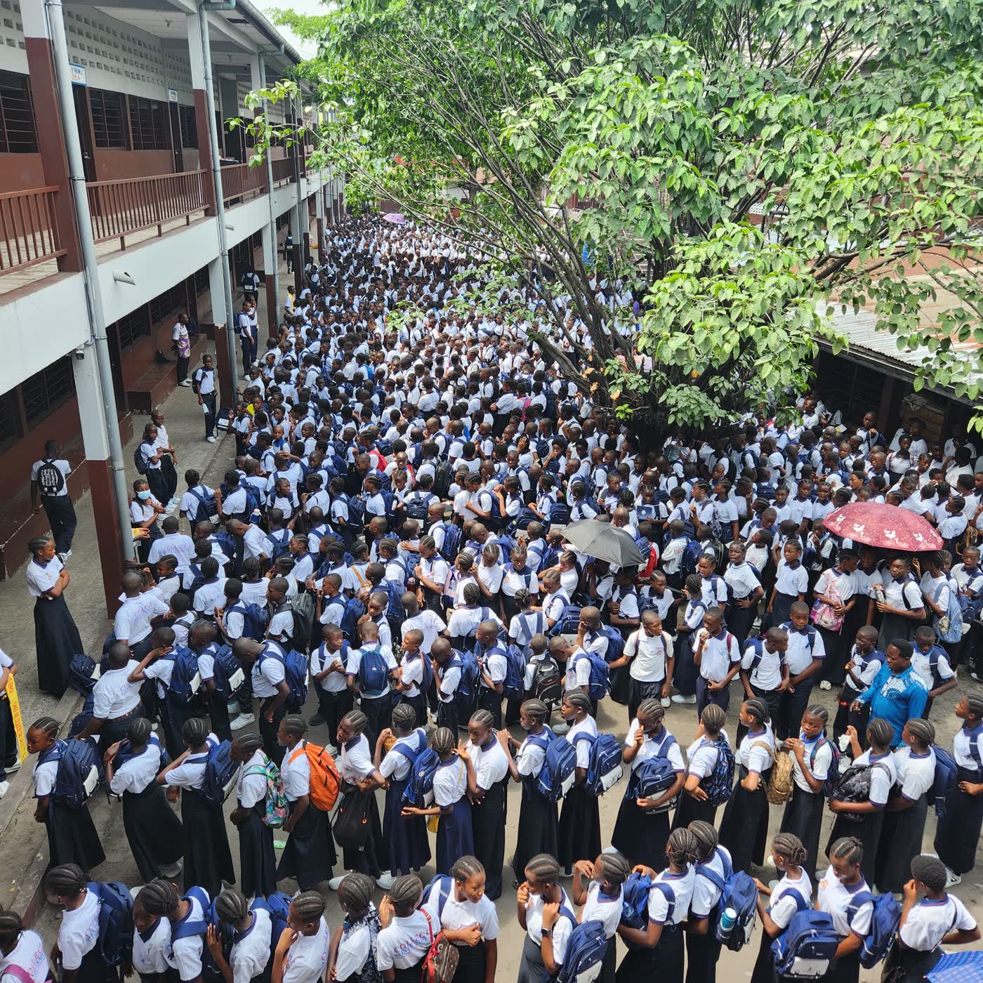 Campus du Collège Sainte Famille
